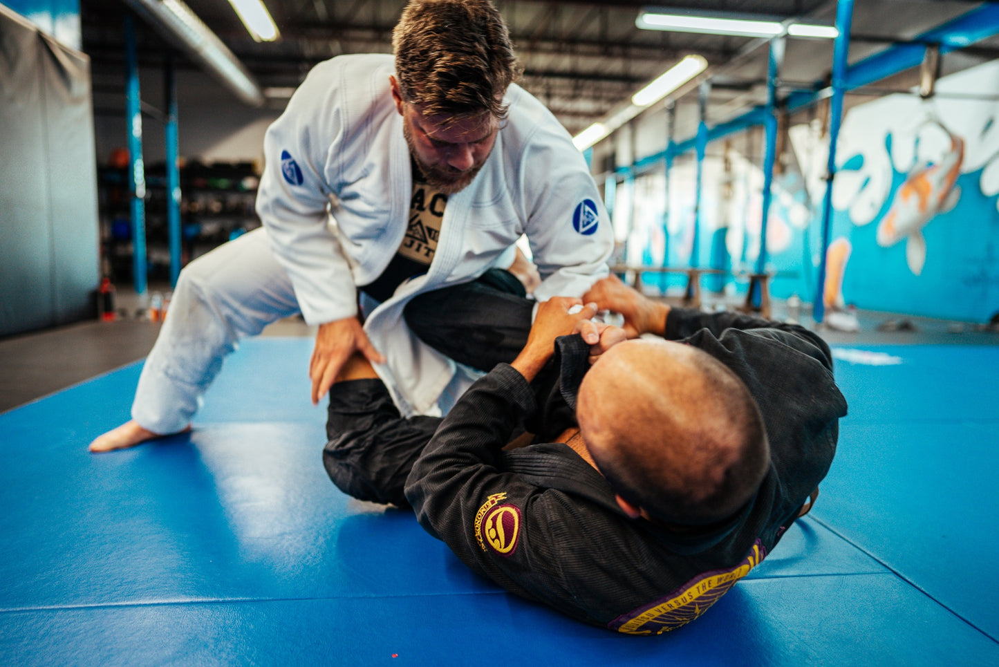 BJJ Performance & Longevity